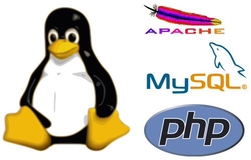 How to Install Apache, MySQL, PHP on VPS Ubuntu VULTR